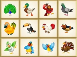 Puzzle de păsări de păsări